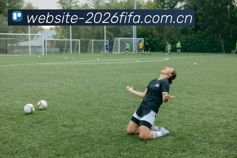 2026世界杯买球APP 高清赛事图